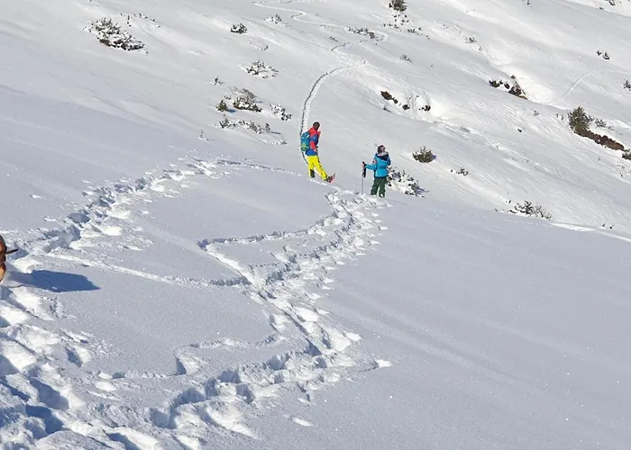 Appt 4 Pers Centre Village Balcon Draps Fournis Garage Accueil Velo Fibre 아파트 생라리술랑